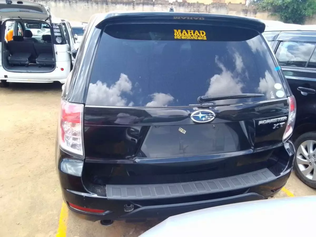 car Back