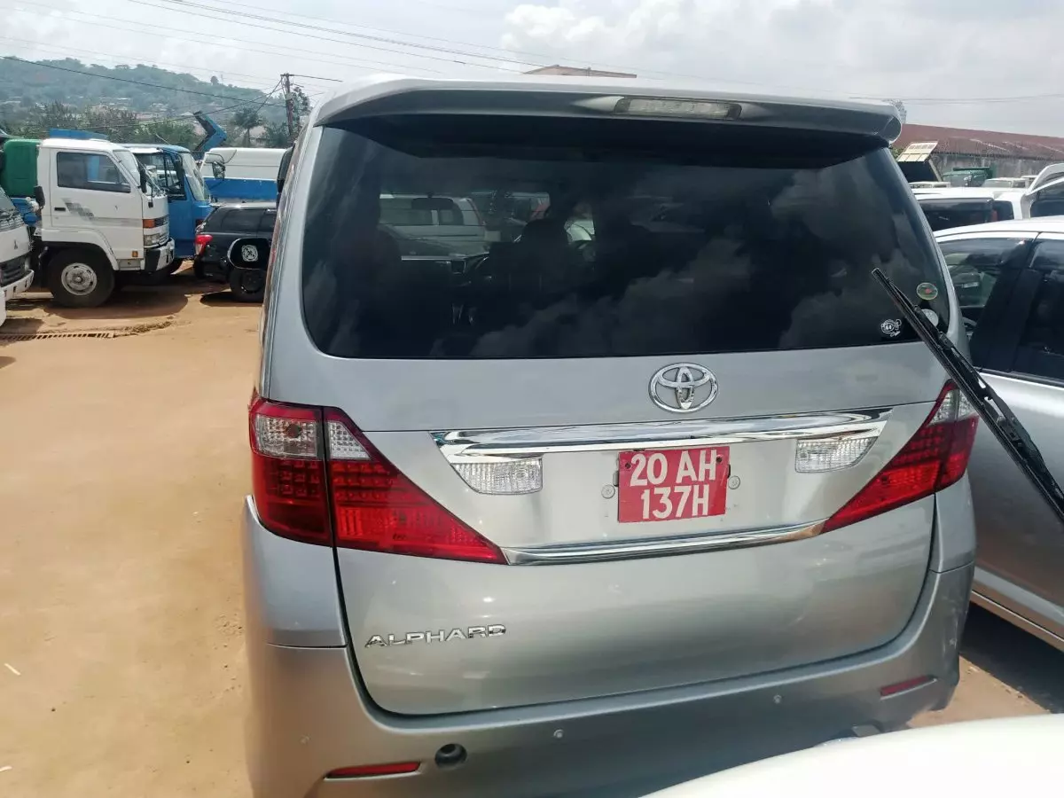 car Back