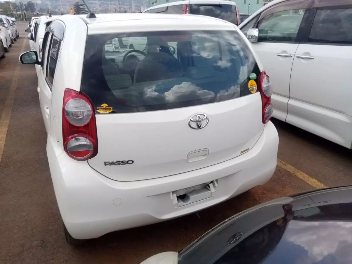 car Back