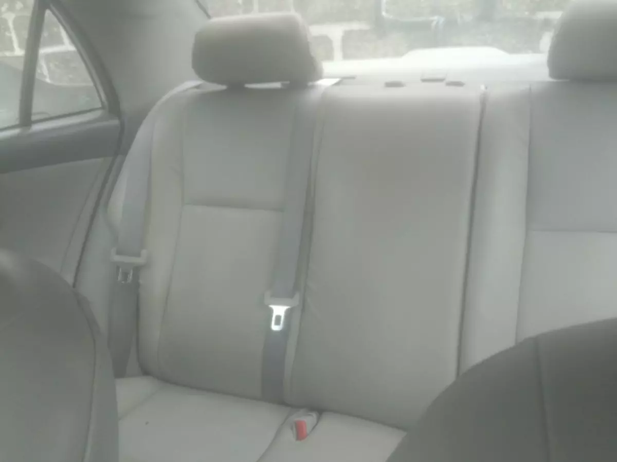 interiorBack
