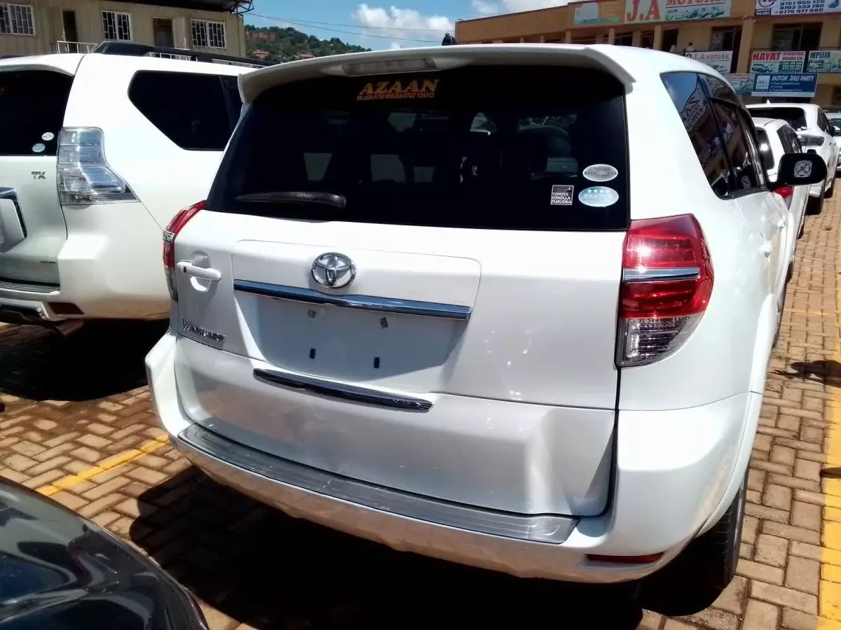 car Back