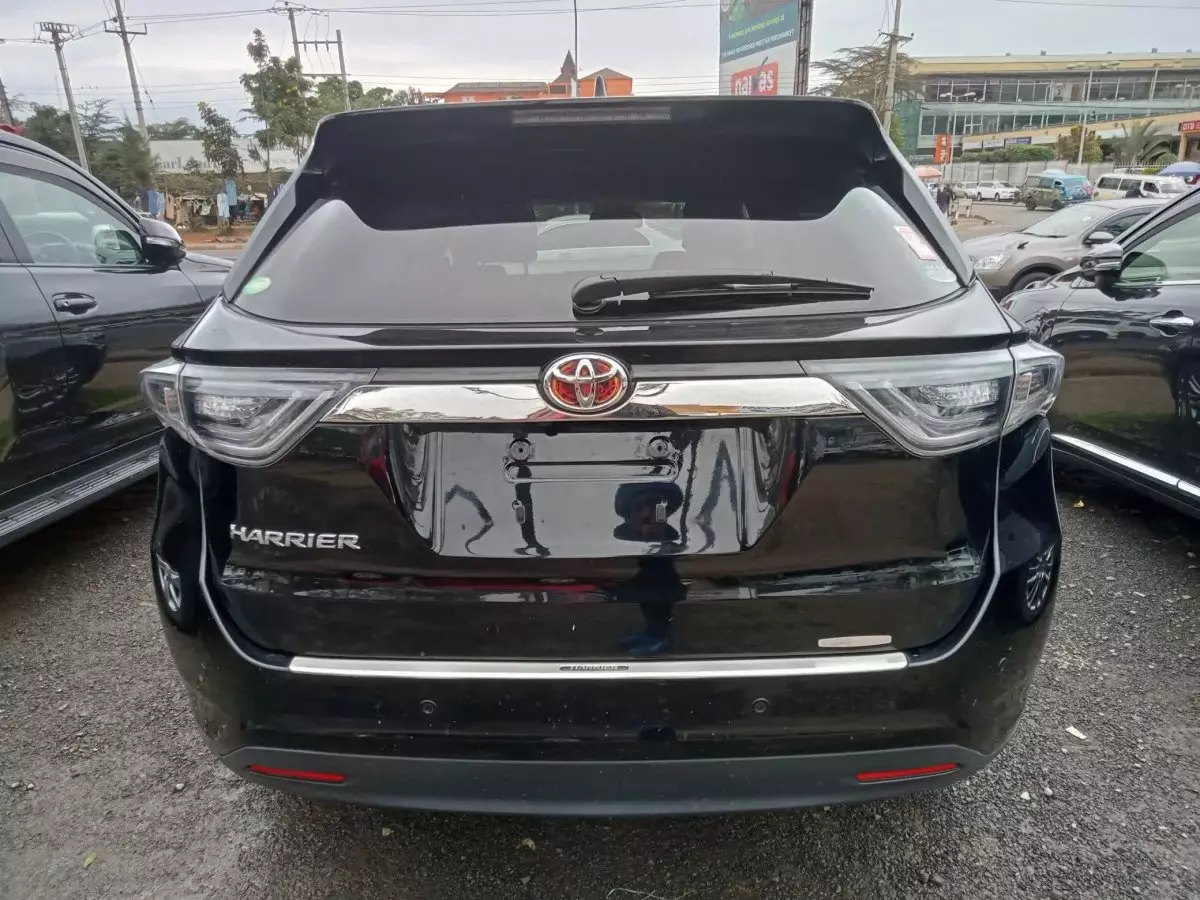 car Back