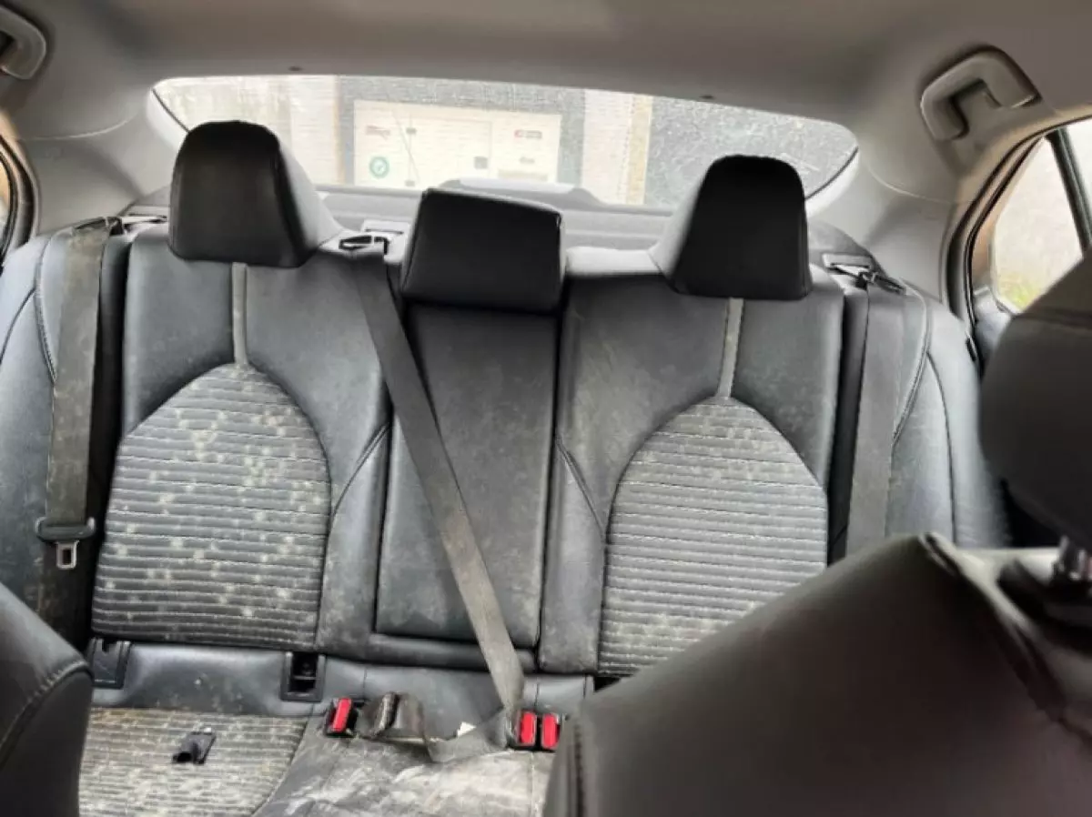 interiorBack