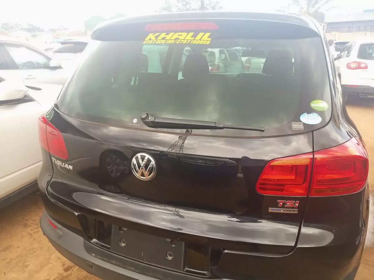 car Back