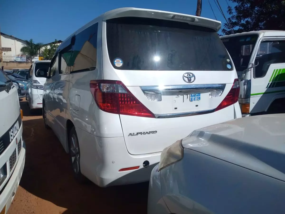 car Back