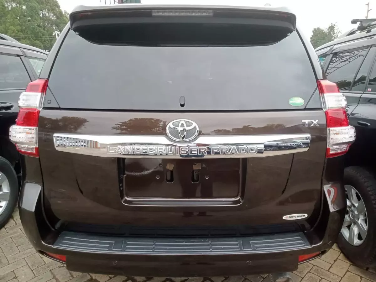 car Back