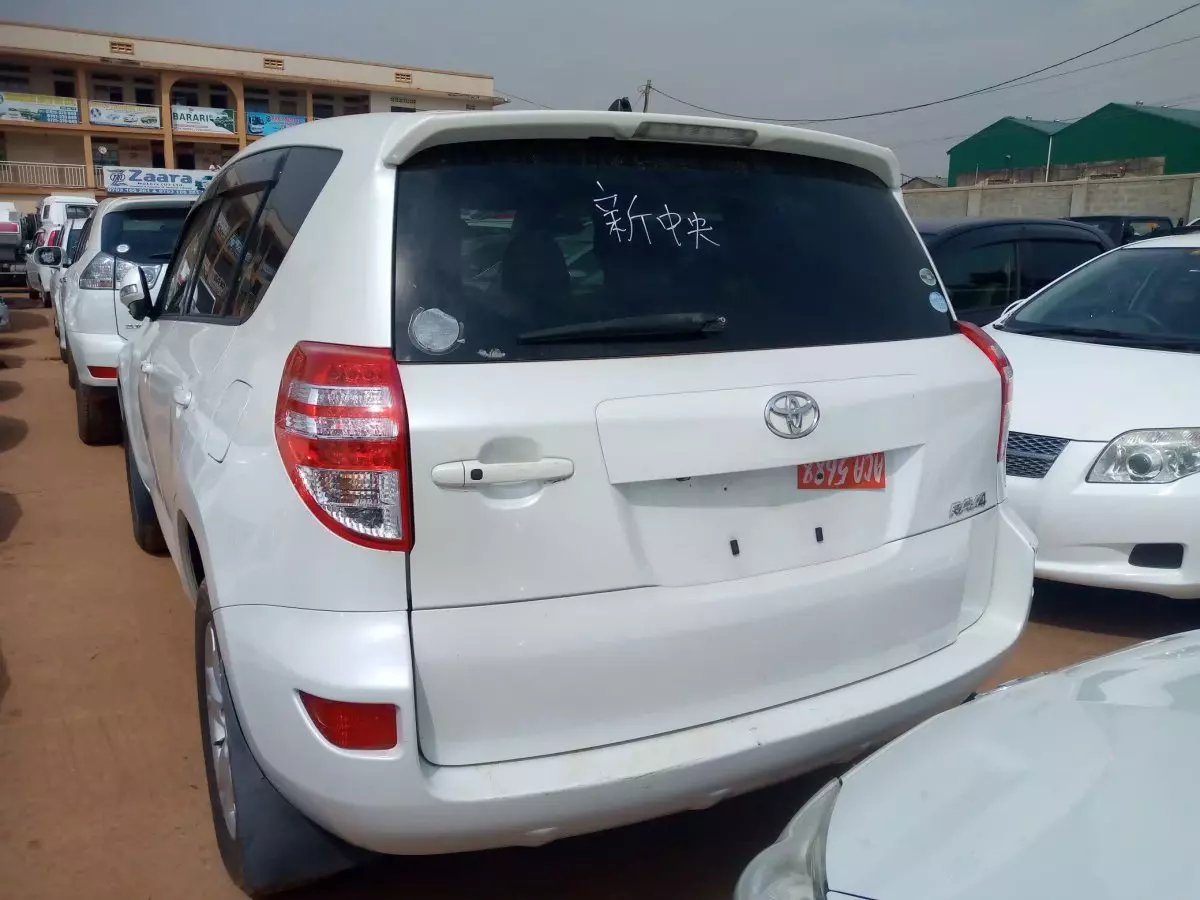 car Back