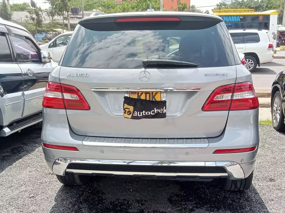 car Back