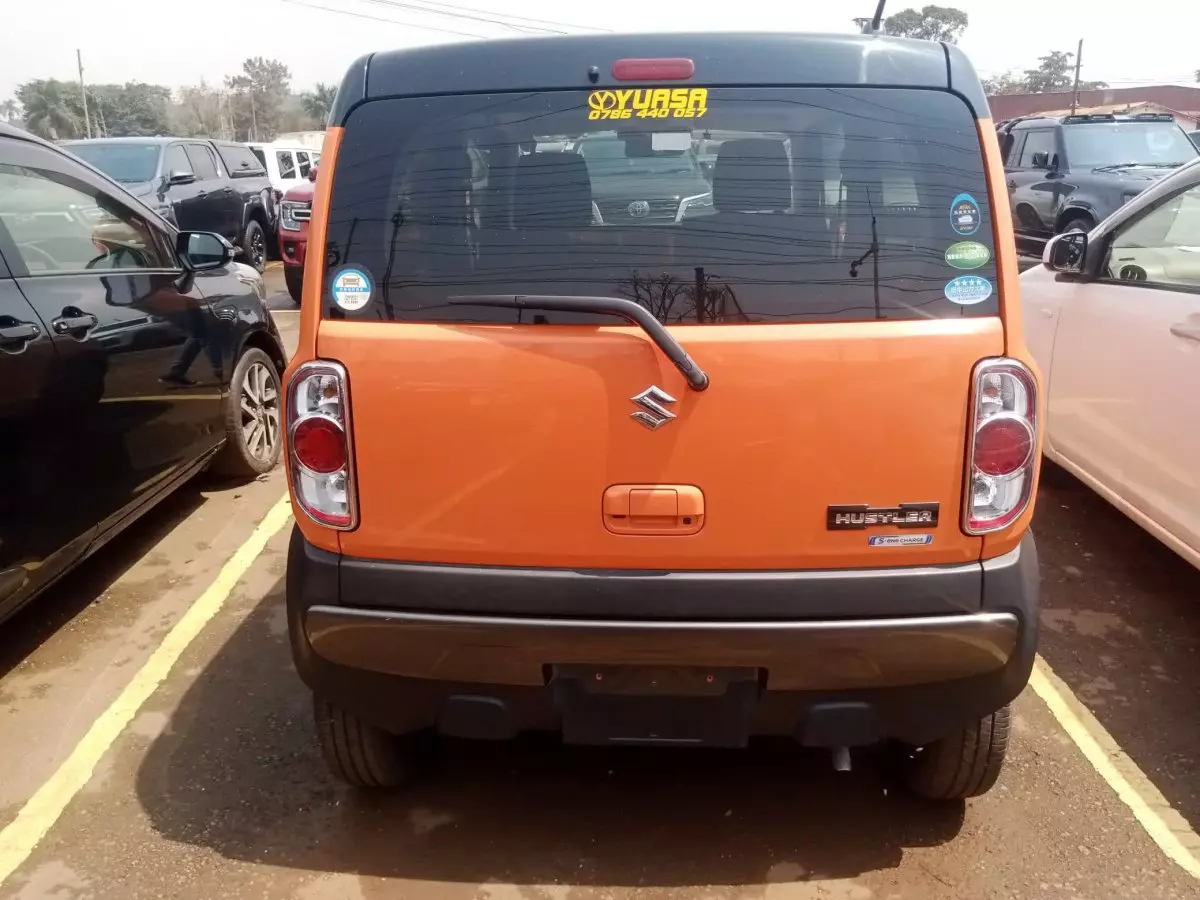 car Back