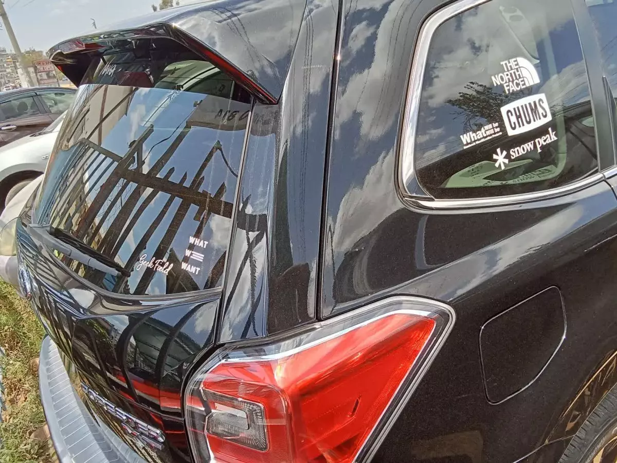 car Back