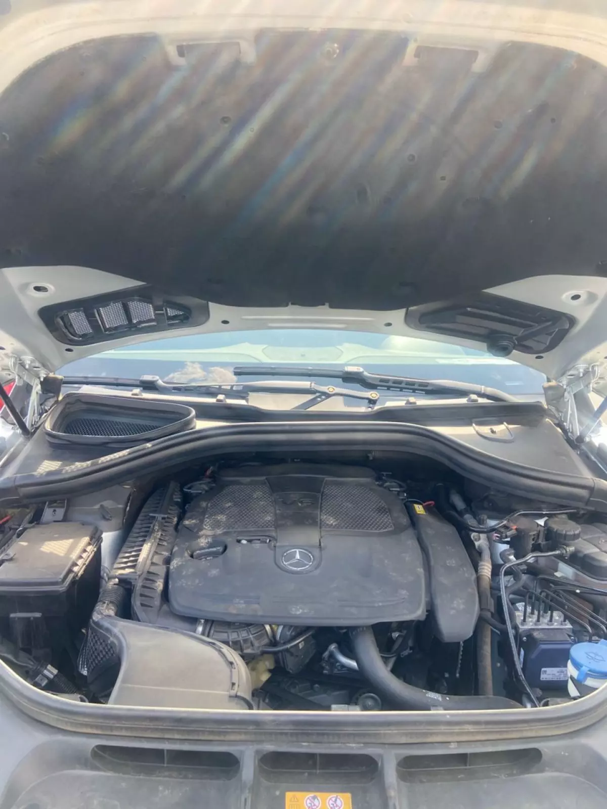 bonnet