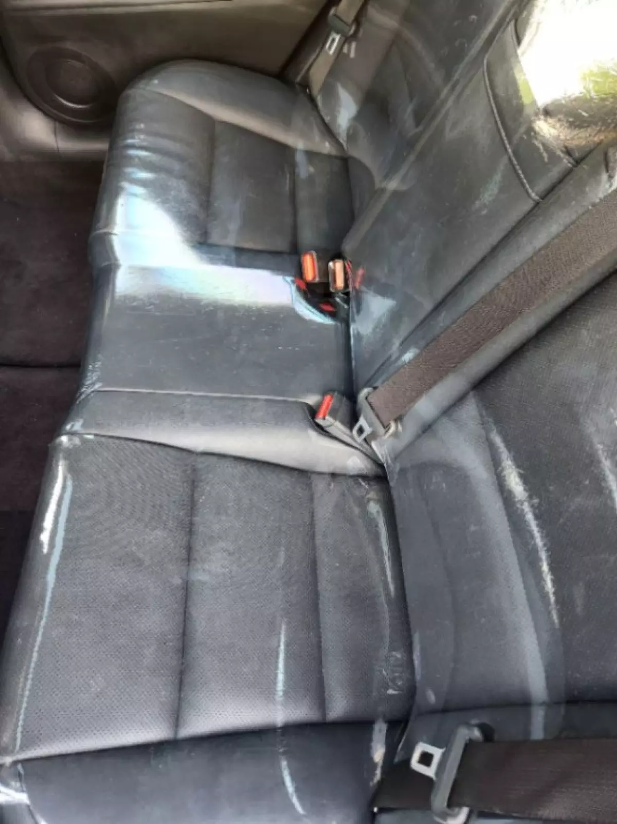 interiorBack