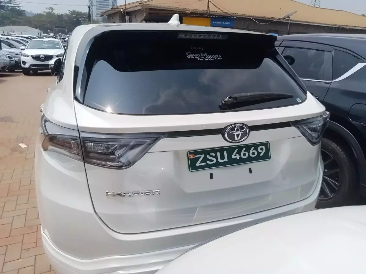 car Back
