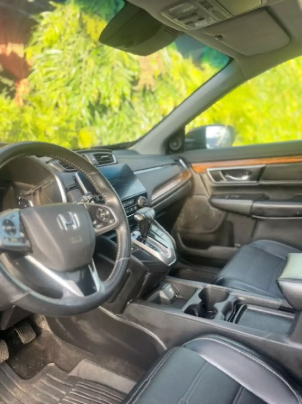 interiorBack
