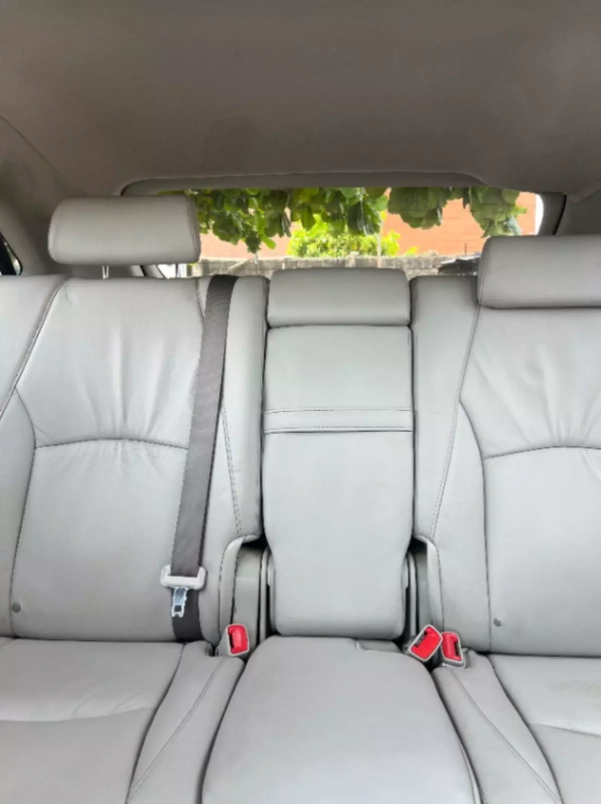 interiorBack