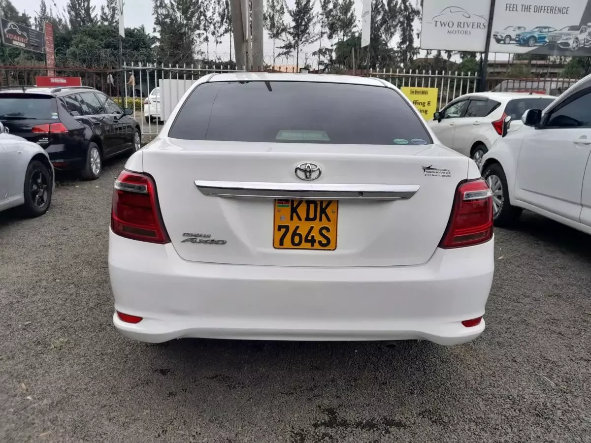 car Back