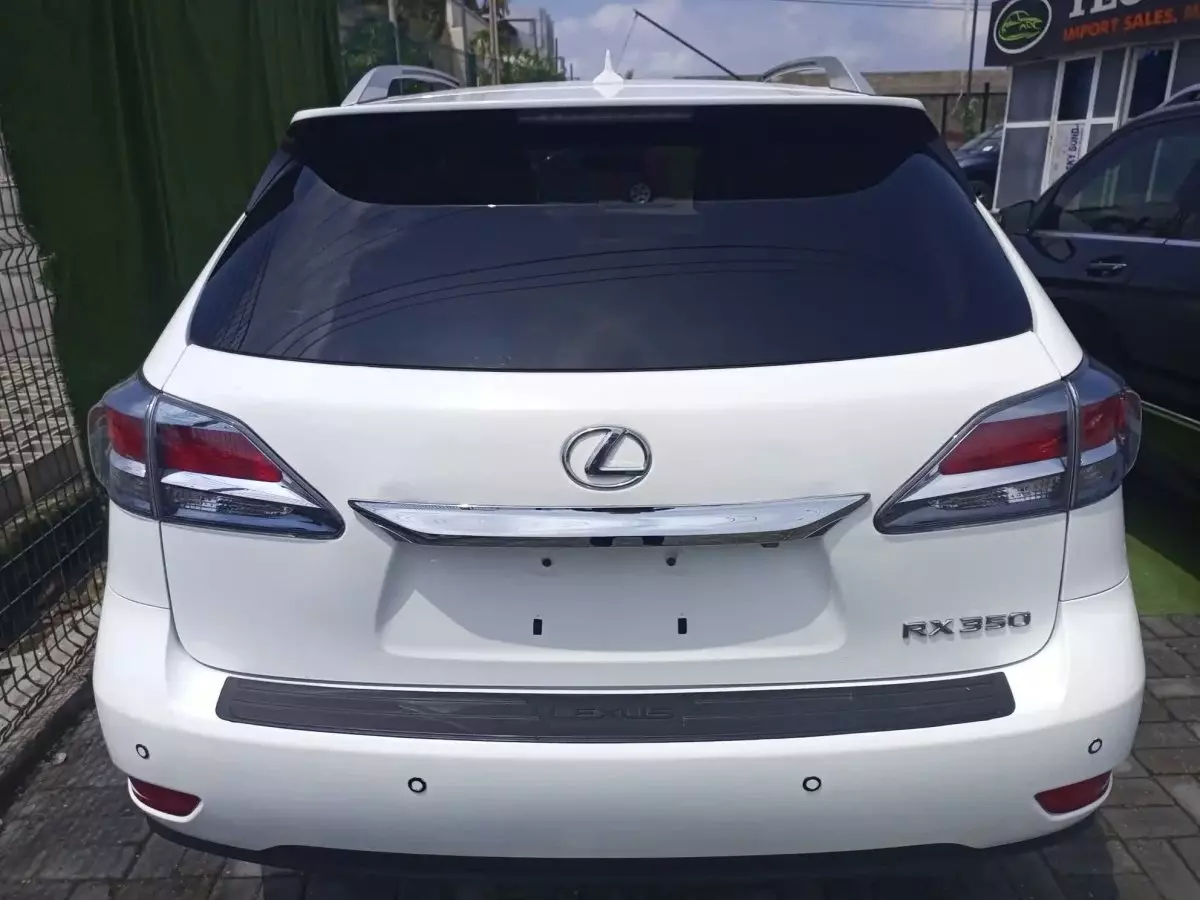 Car Back