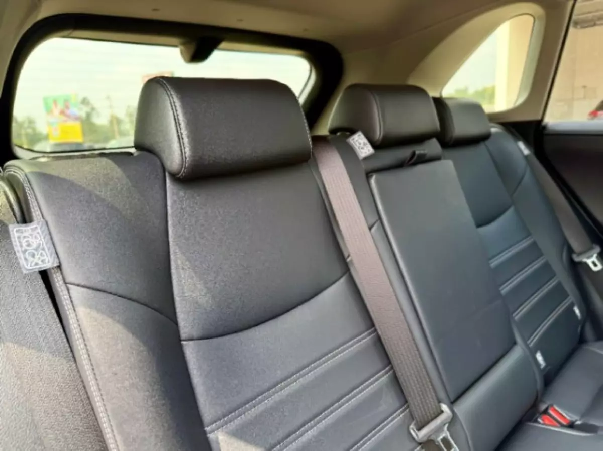 interiorBack