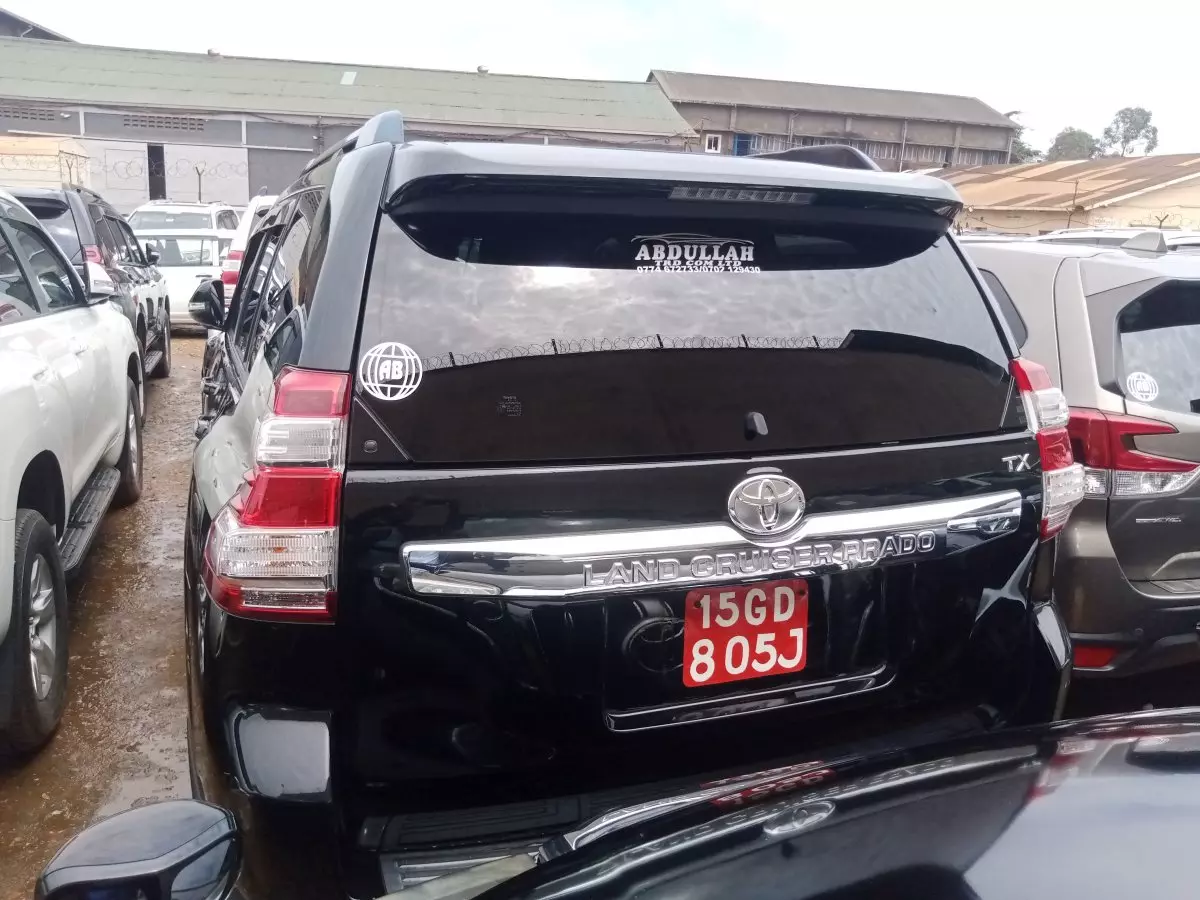 car Back