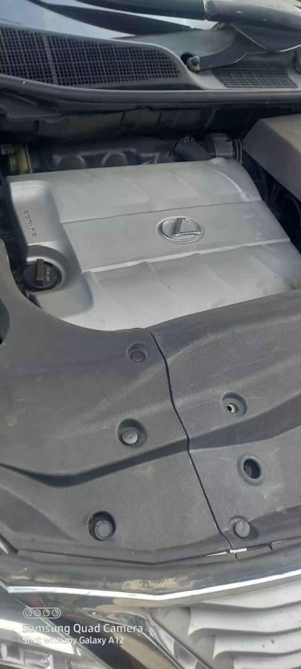 engineView