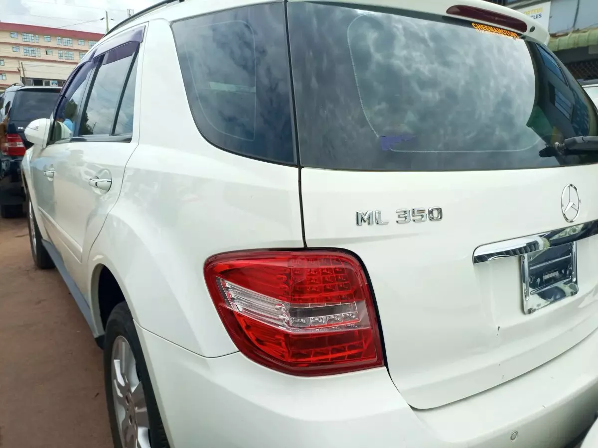 car Left Back