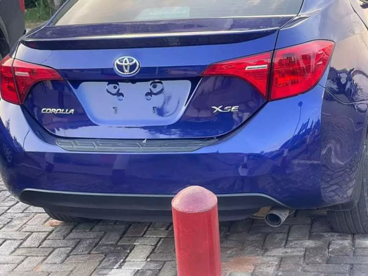 car Back