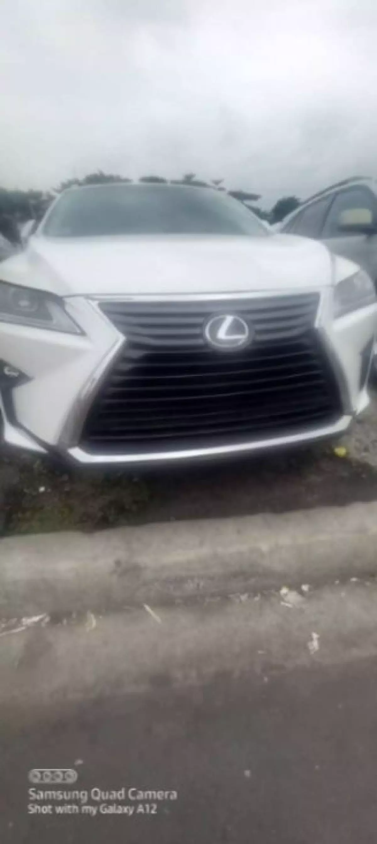 Lexus RX 350 - 2017
