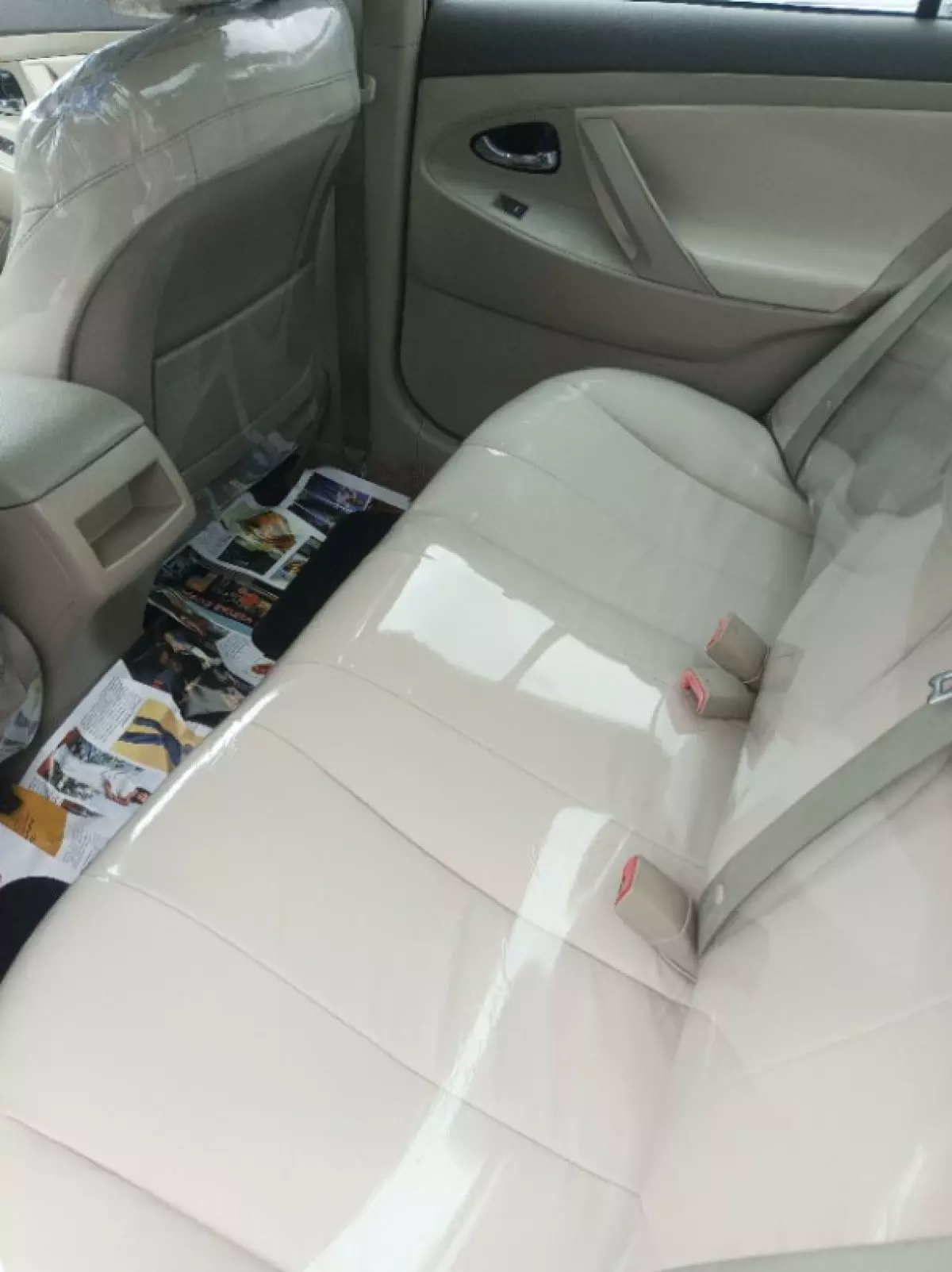 interiorBack