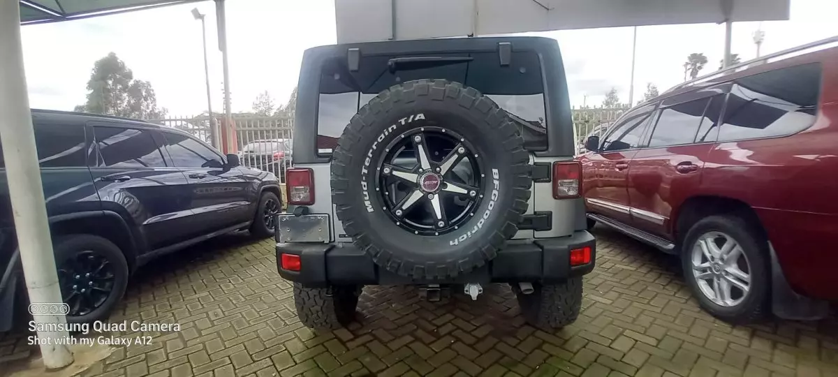 car Back