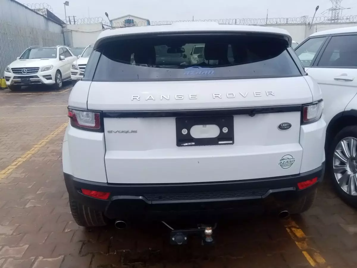 car Back