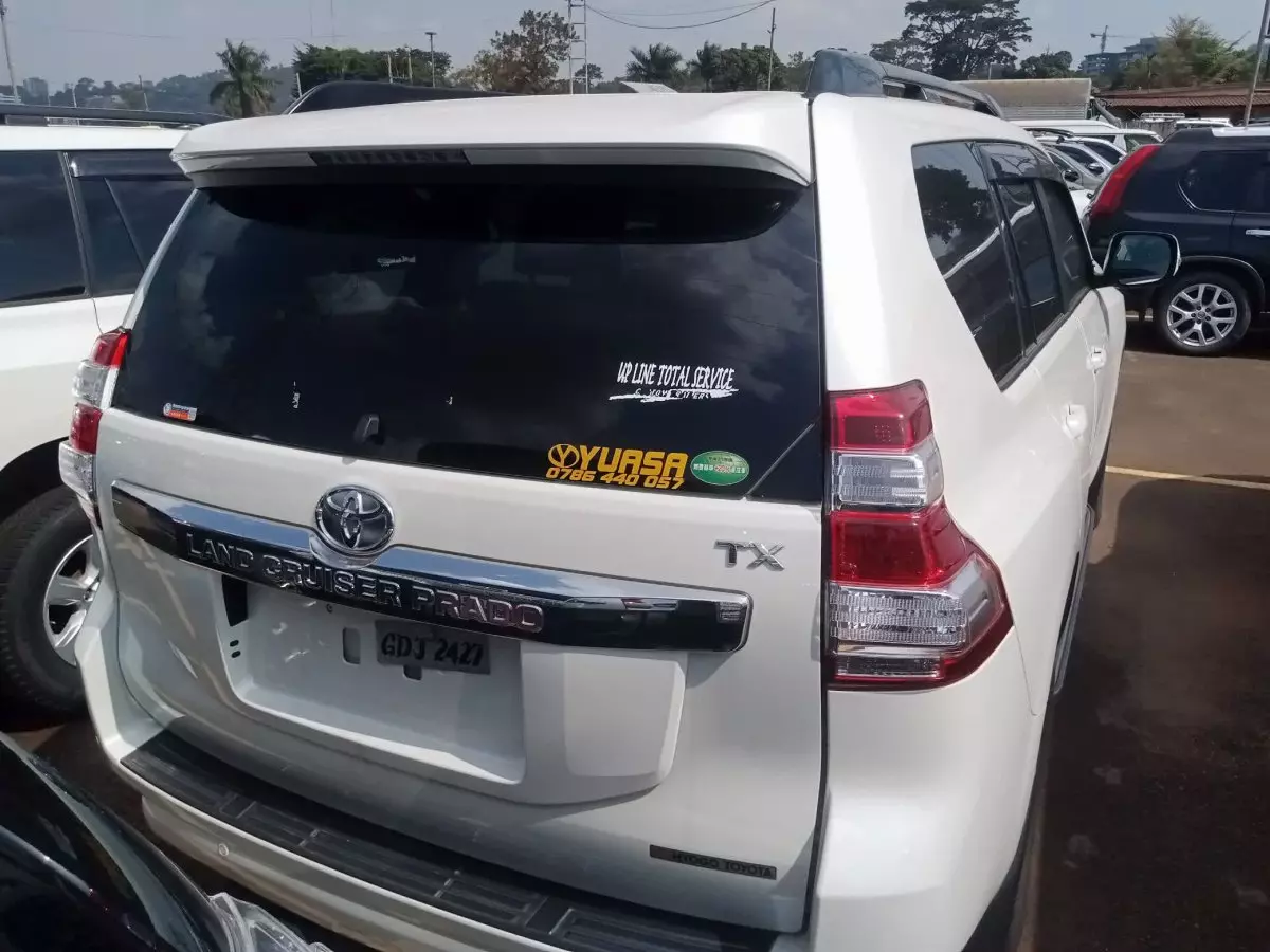 car Back