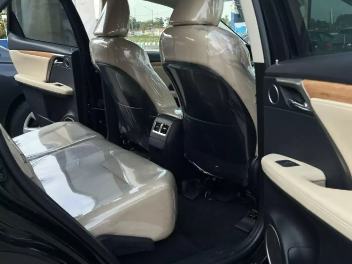 interiorBack