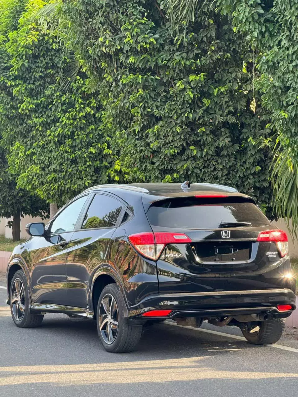 car Back