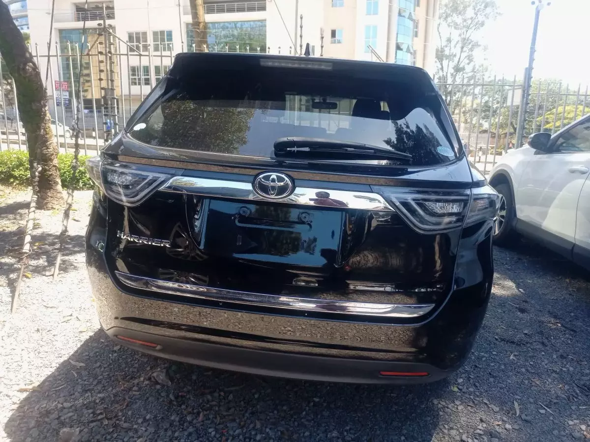 car Back