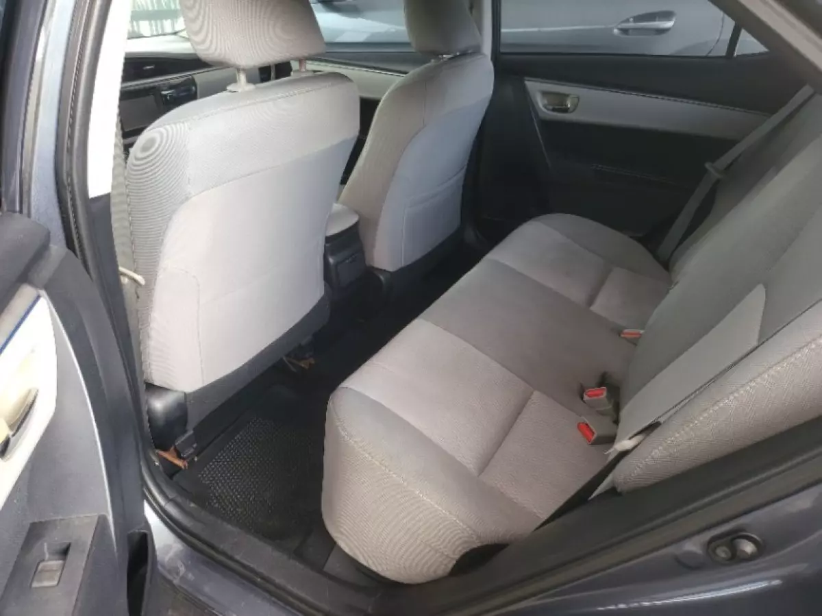 interiorBack