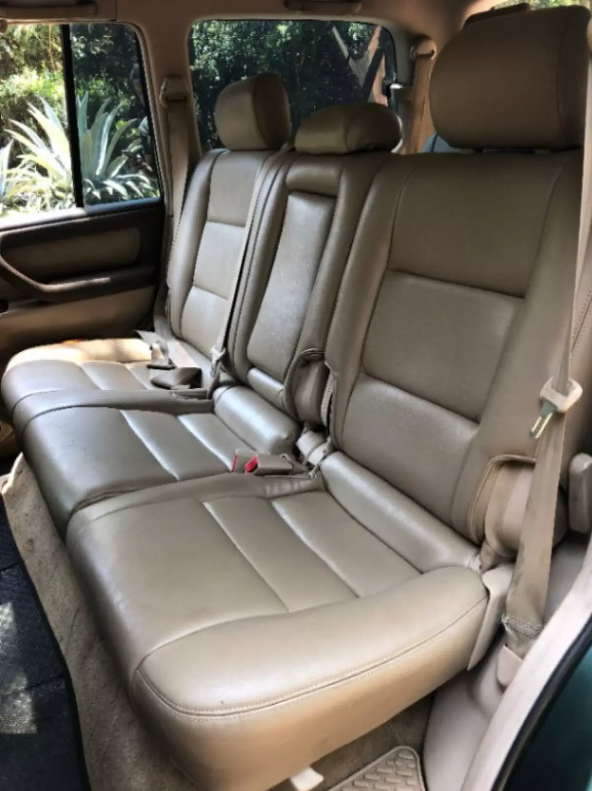 interiorBack