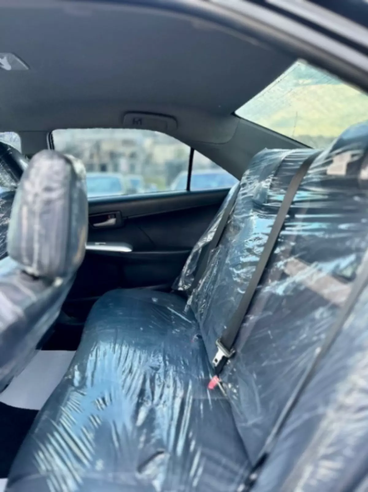 interiorBack