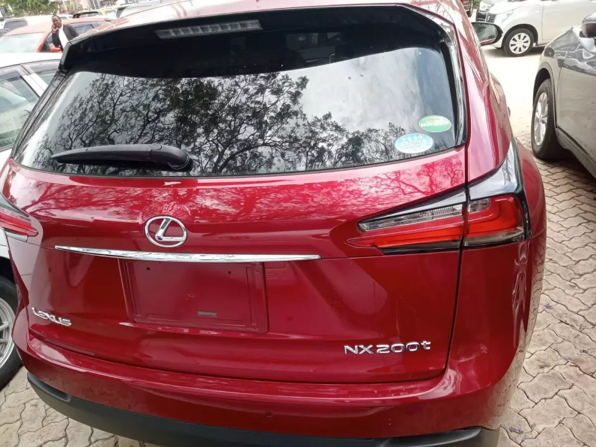 car Back