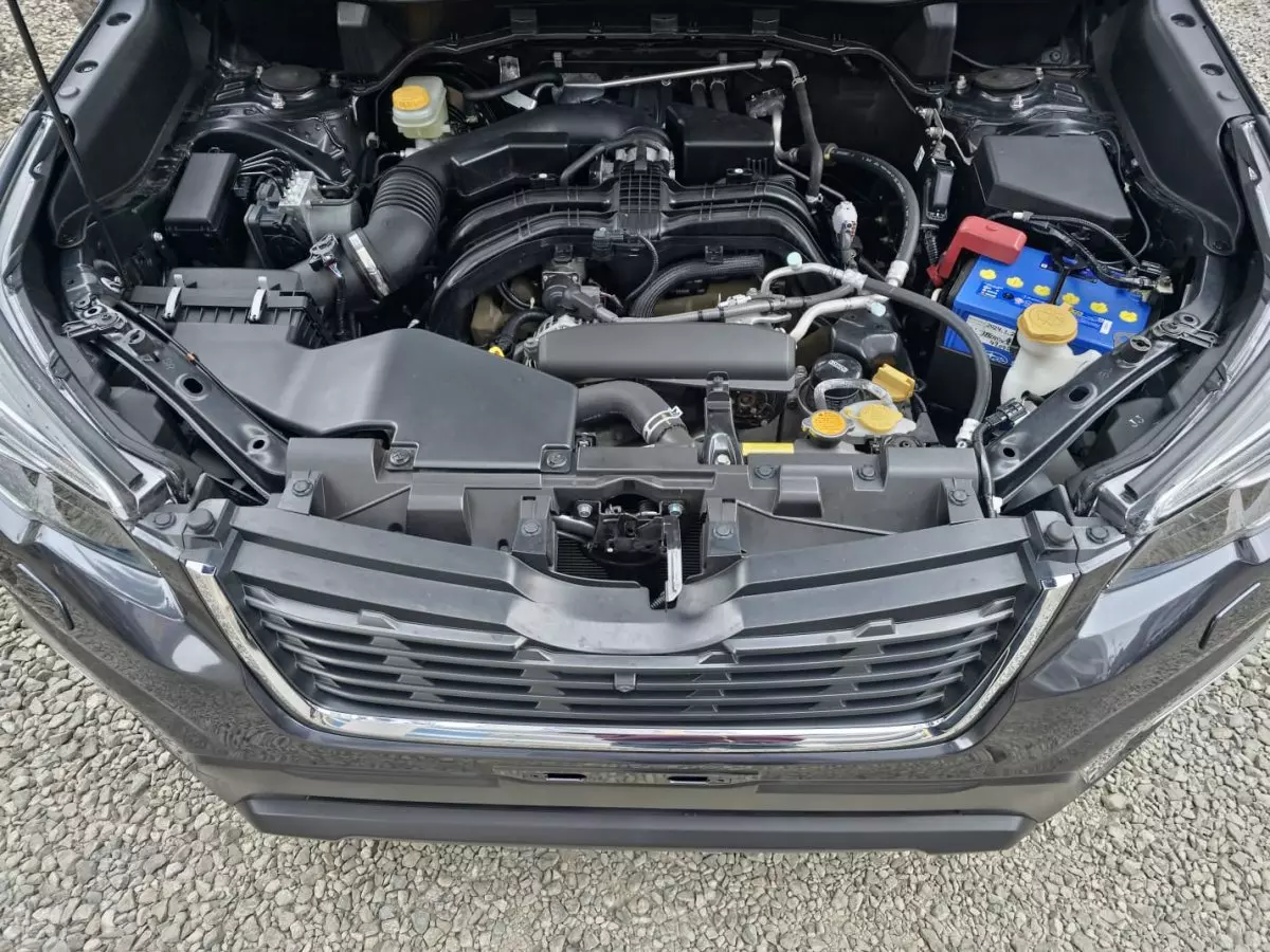 bonnet