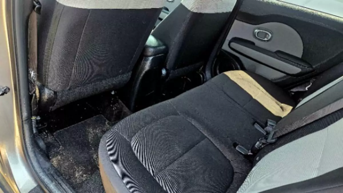interiorBack
