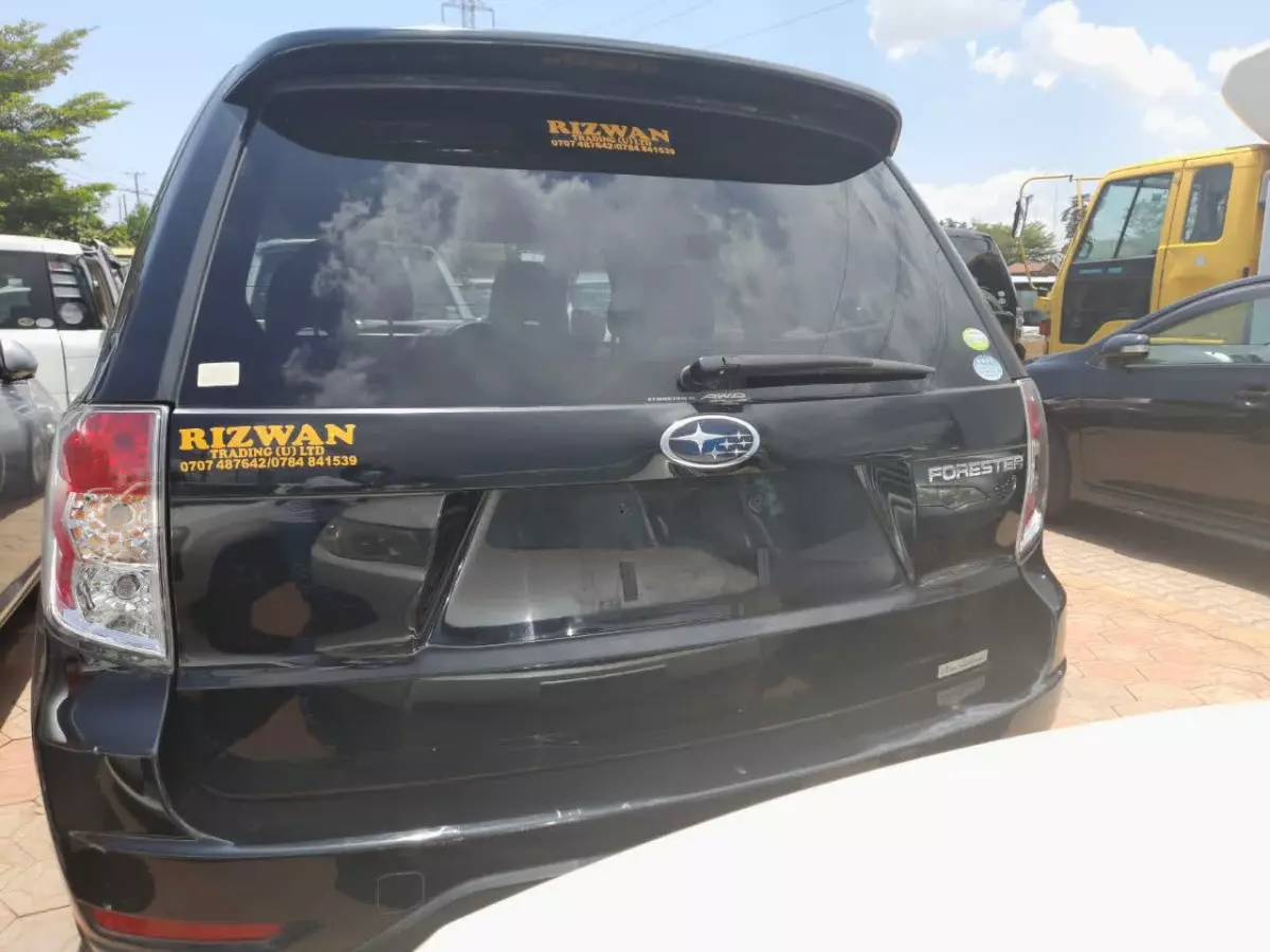 car Back