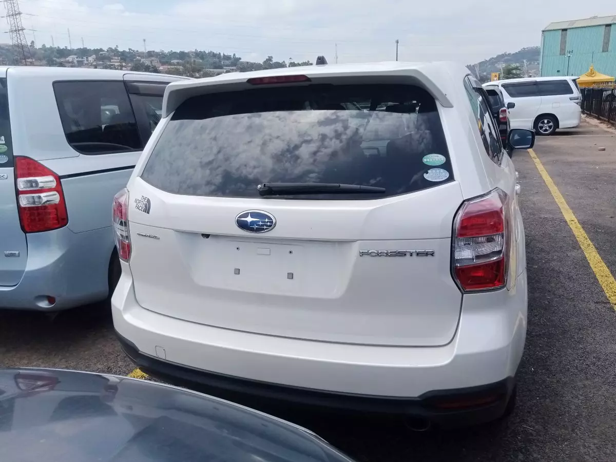car Back