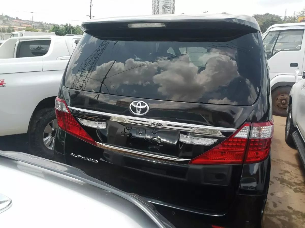 car Back