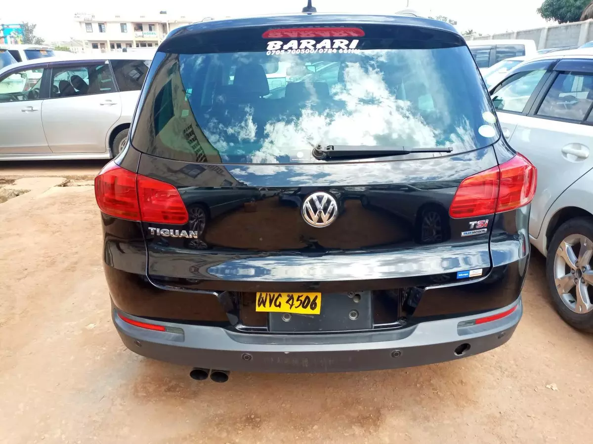 car Back