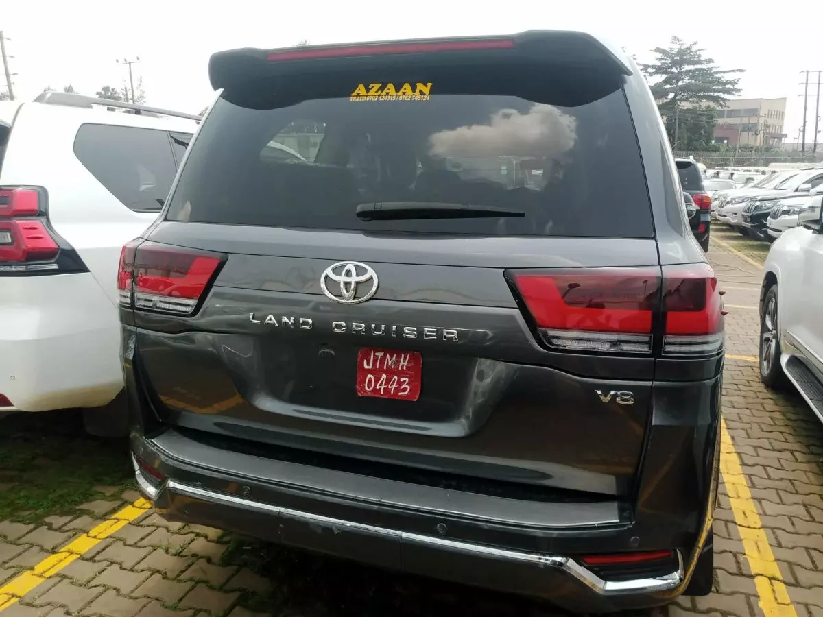 car Back