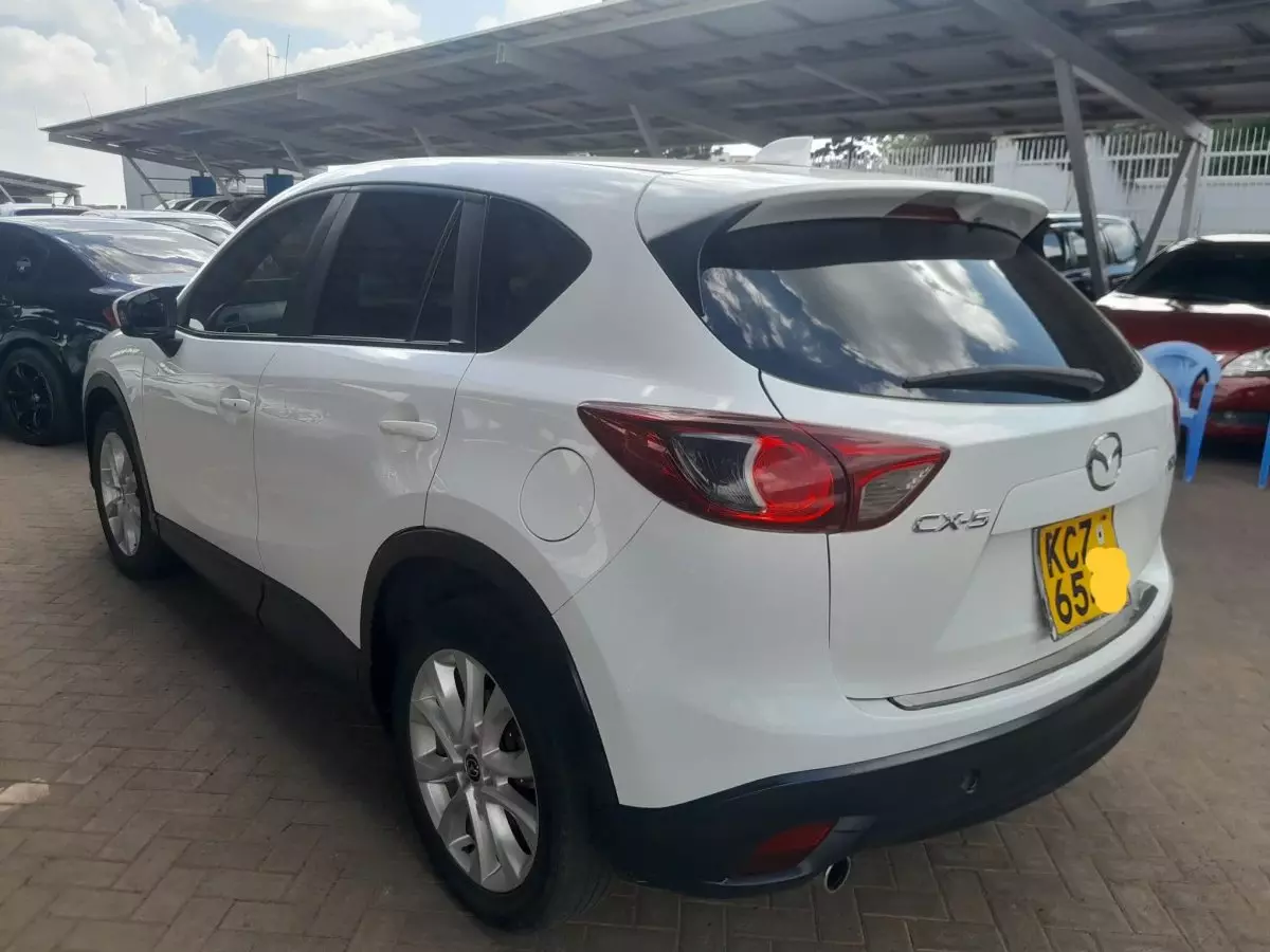 car Left Back