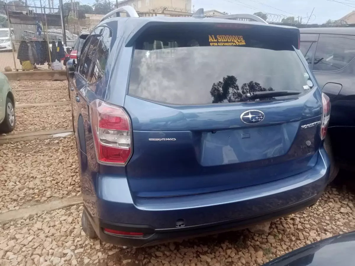 car Back