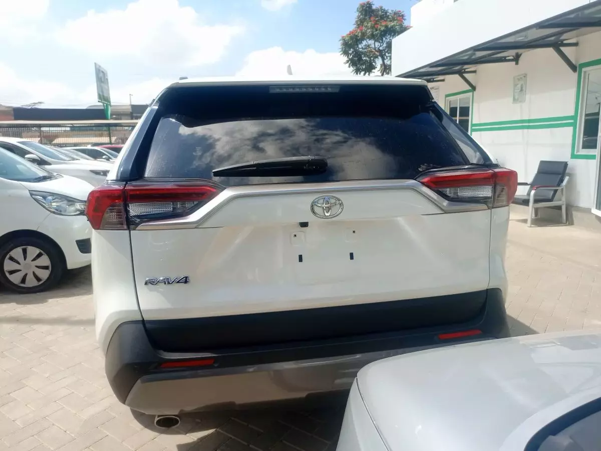 car Back