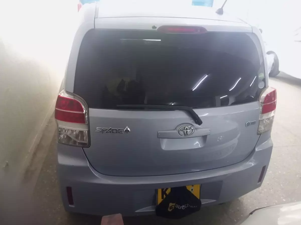 car Back