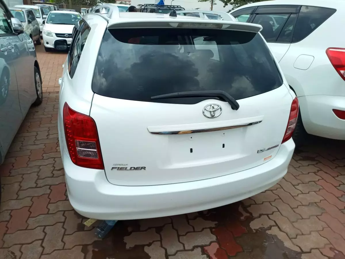 car Back